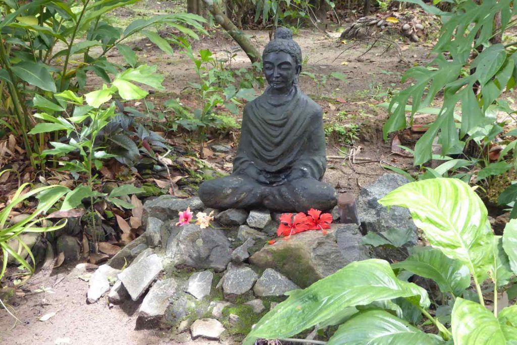 Meditation courses in iyengar yoga kuzhuppilly paravoor- kochi kerala